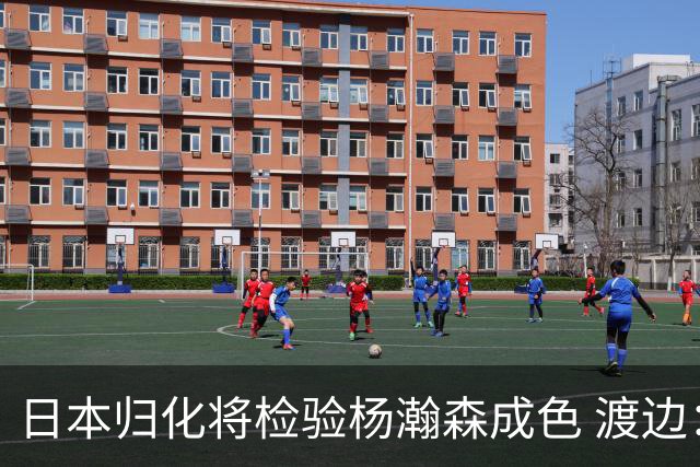 日本归化将检验杨瀚森成色 渡边：有实力击败中国男篮