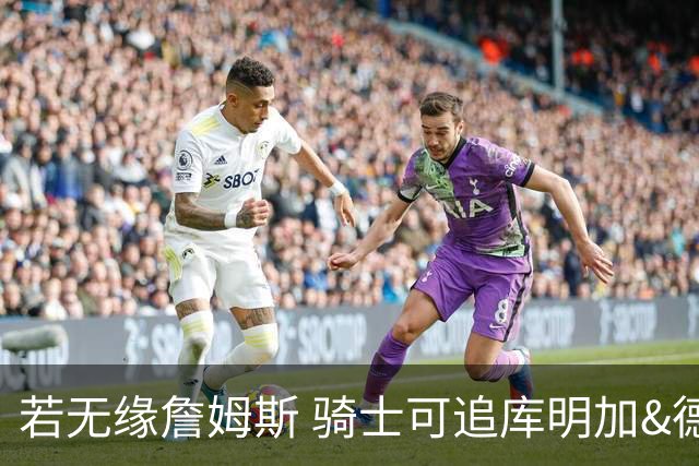 若无缘詹姆斯 骑士可追库明加&德罗赞 勇士追巴图姆 热火追文森特